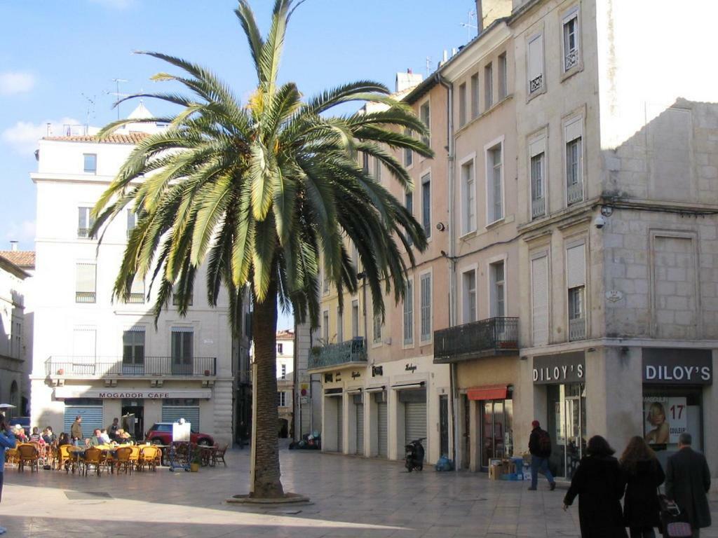 Le Logis De L'Etoile Apartamento Nîmes Exterior foto